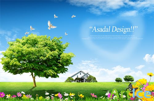 Flowers, birds, trees, nature PSD