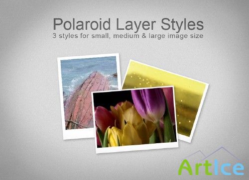 FREE Polaroid Layer Styles