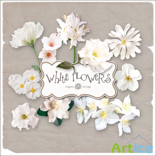 Scrap-kit - White Flowers Set