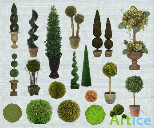 PSD Clipart - Topiary