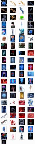 StockMix of Human Anatomy in 3D Renders 80xJPGs