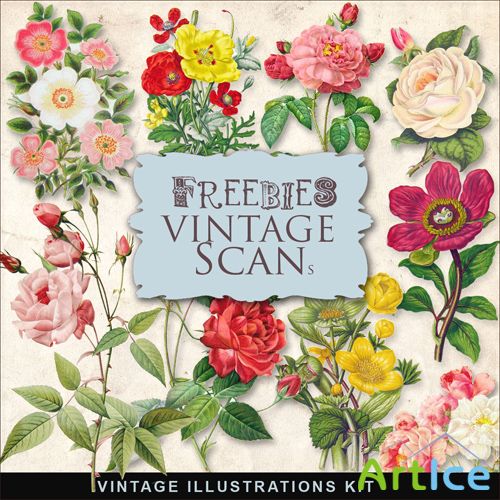 Scrap-kit - Vintage Flowers Illustrations #7