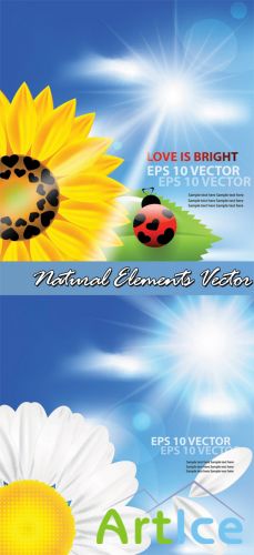 Natural Elements Vector