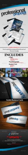 Professional Proposal Pack and Business Cards - GraphicRiver