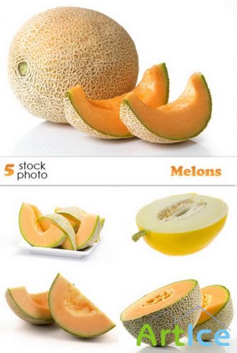  -  / Stock photo - Melons