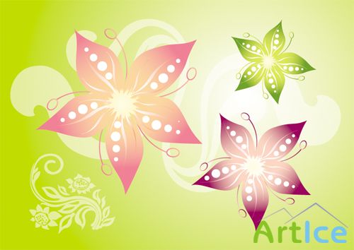 Star Flowers Vector