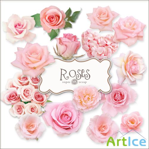 Scrap-kit - Vintage Roses Illustrations #2