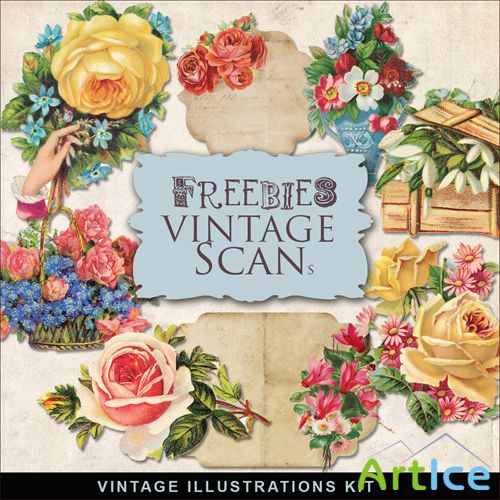 Scrap-kit - Vintage Flowers Illustrations #10