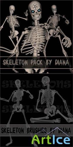 Skeleton Brushes & Skeleton PNG Cliparts by Diana