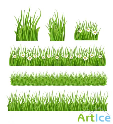 Green Grass PSD