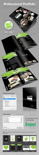 GraphicRiver - Professional Designer Portfolio