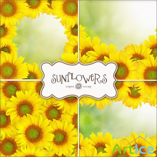 Textures - Sunflowers Backgrounds