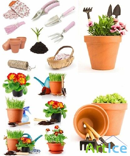 Garden Set | :   