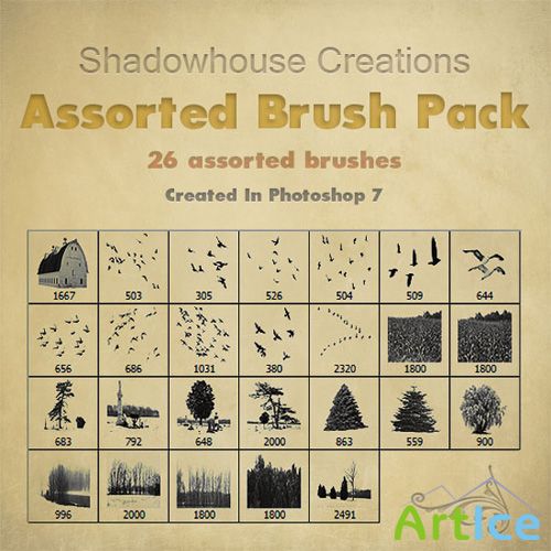 Assorted Brush Pack