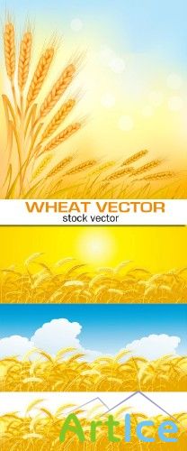 Wheat vector