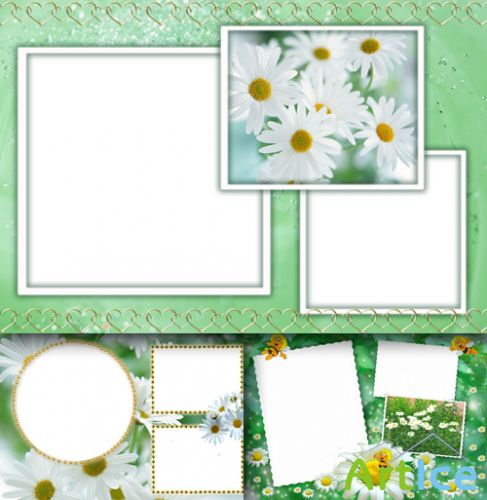 Photo Frame - White Daisies