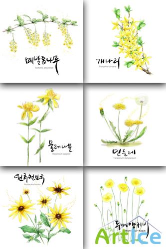 Flower backgrounds pack 8