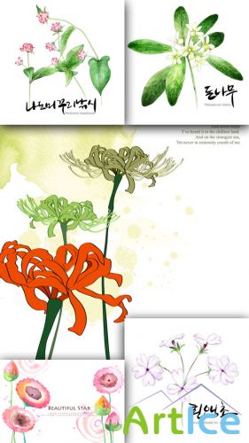 Flower backgrounds pack 18