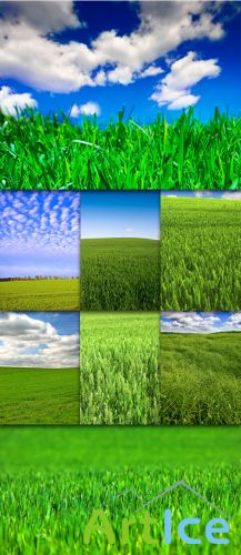 Green Field Cliparts