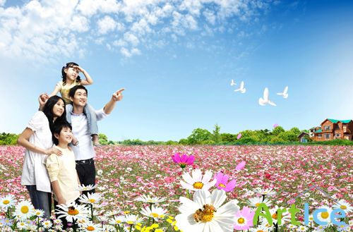 Sources - Flower field near the house