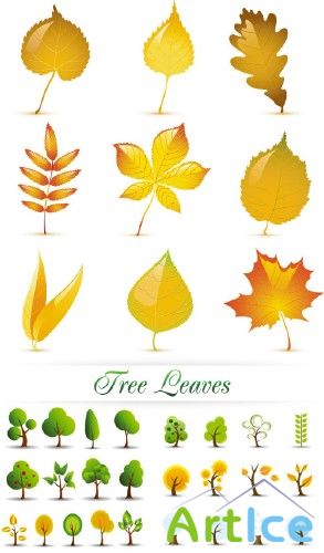 Tree Leaves Vector