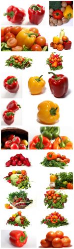 Vegetable Cliparts - vegetables, tomatoes, peppers, greens, white background