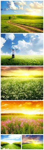 Field Backgrounds #1