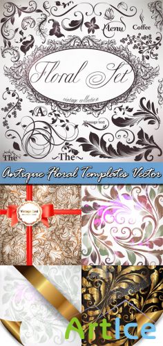 Antique Floral Templates Vector