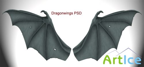 Dragon Wings PSD