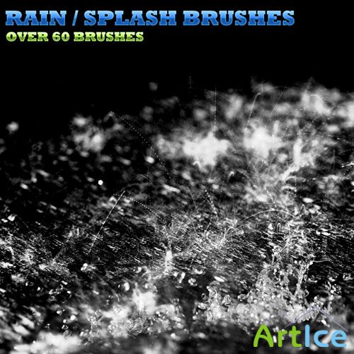 60 splash rain brushes