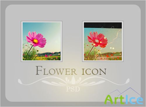 Flower icon Psd