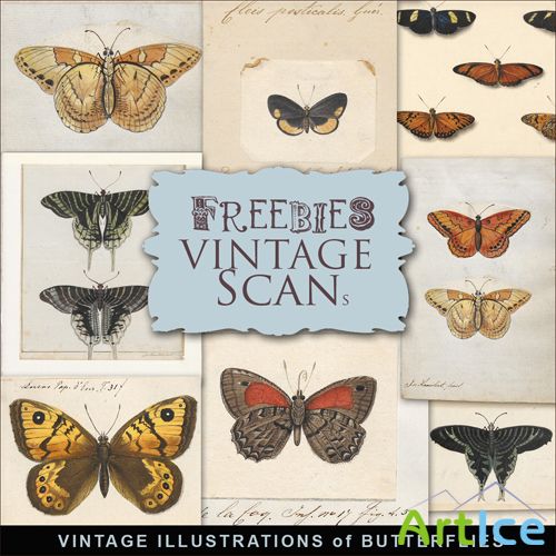 Scrap-kit - Vintage Illustrations Of Butterflies