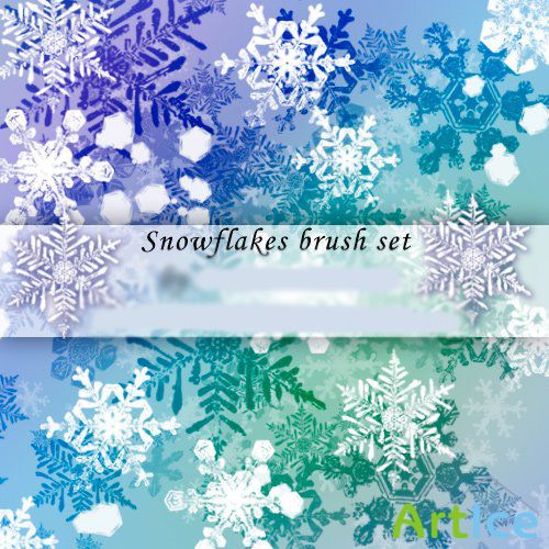 SnowFlakes brush set