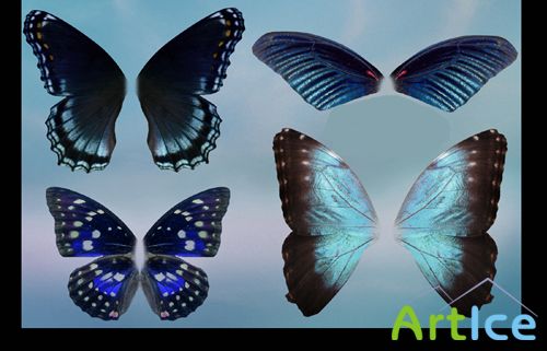 Butterfly wings set psd