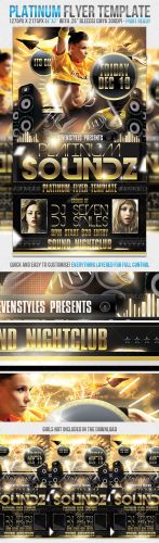 GraphicRiver - Platinum Flyer Template