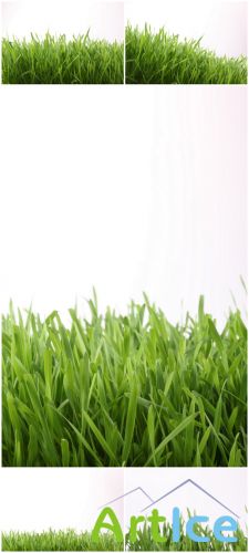 Photo Cliparts - Green grass