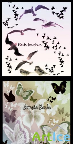 Birds and Butterflies brushes set