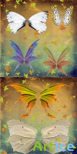 Psd autumn butterfly wings set