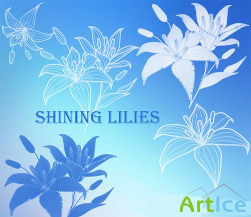 Shining lilies brushes