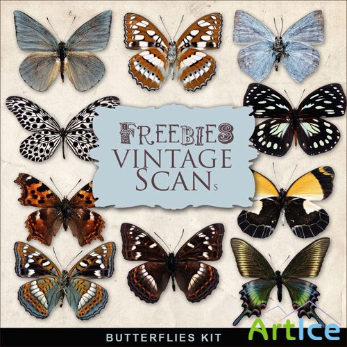 Scrap-kit - Butterflies Set #2