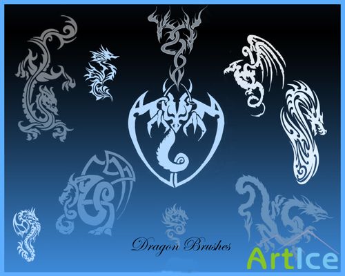 Dragon Brushes Set