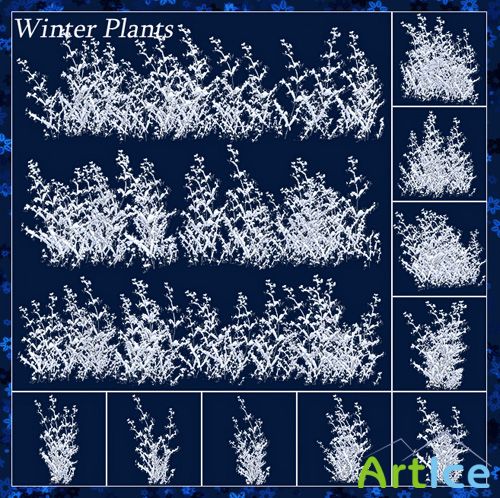 Scrap-kit - Winter Plants