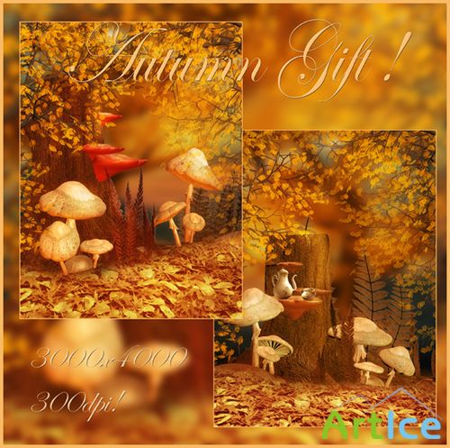 Autumn Gift Backgrounds