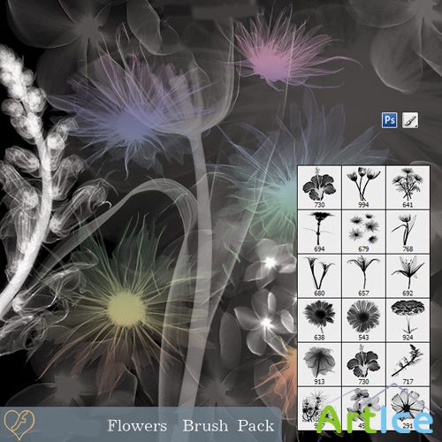 Flowers Brush Pack