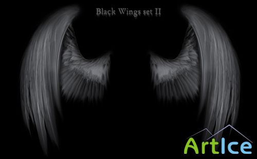 Black Angel Wings