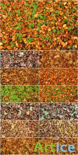 Autumn - Leaves & Grass Textures