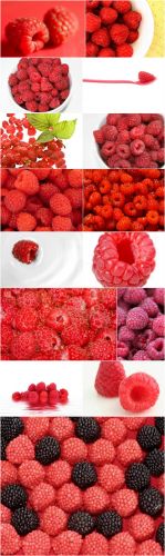 Photo Cliparts - Raspberry