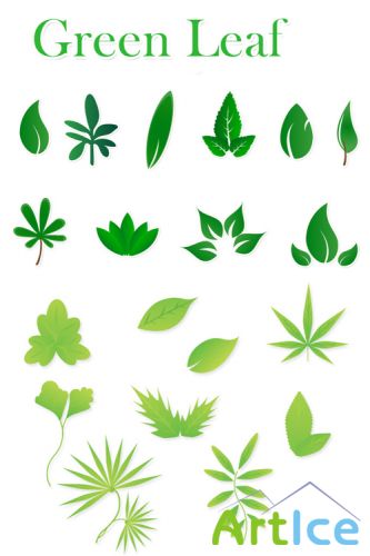 Green Leaf Vector