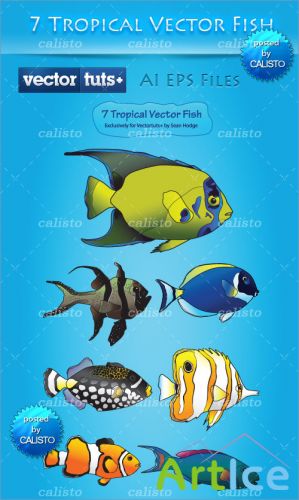 Colorful Vector Premium Pack  Tropical Fish