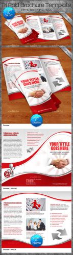 Tri Fold Brochure PSD Template